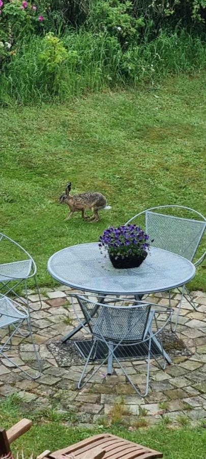 Apartment Seaside Husum  Zewnętrze zdjęcie